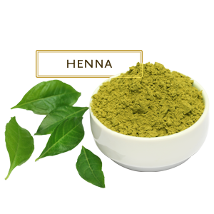 HENNA POWDER - PURE HERBAL, CHEMICAL FREE HENNA. CAN BE USED FOR HAIR CONDITIONING AND COLORING. 